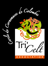Logo Tri Celt
